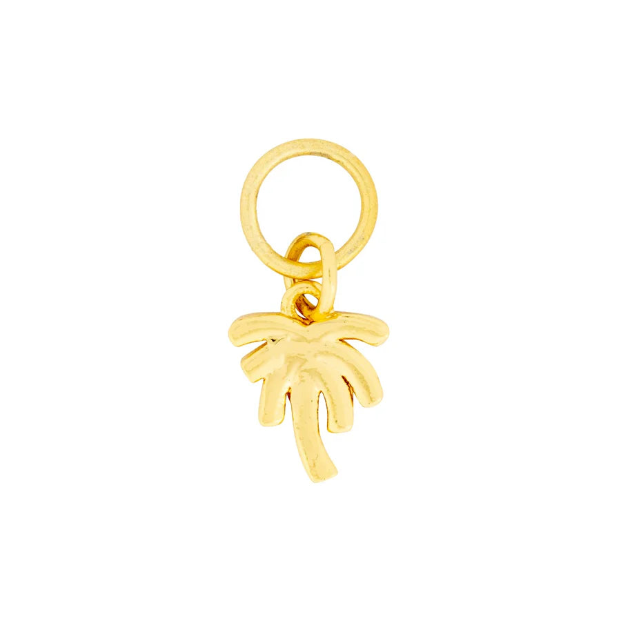 La Palma Charm